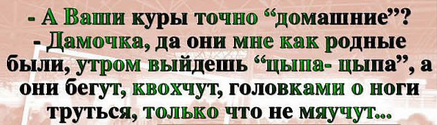 odessa joks 1