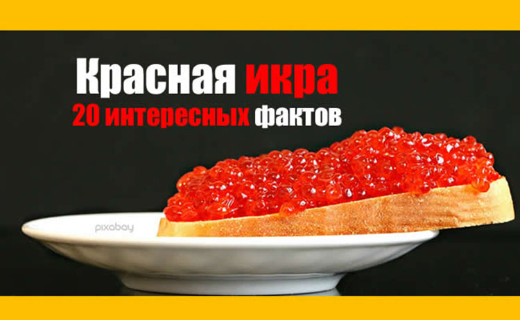 Red caviar facts